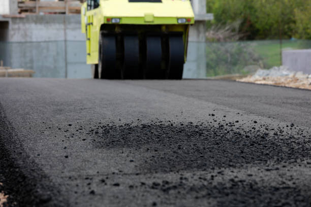Best Local Driveway Pavers  in Dawson, MN