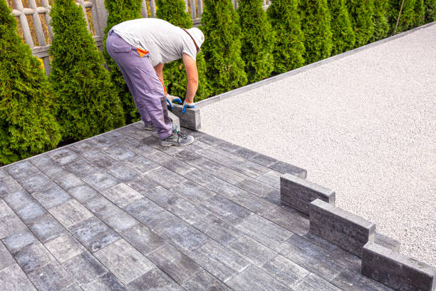 Best Residential Paver Driveway  in Dawson, MN